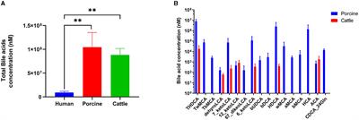 Multispecies probiotics complex improves bile acids and gut microbiota metabolism status in an in vitro fermentation model